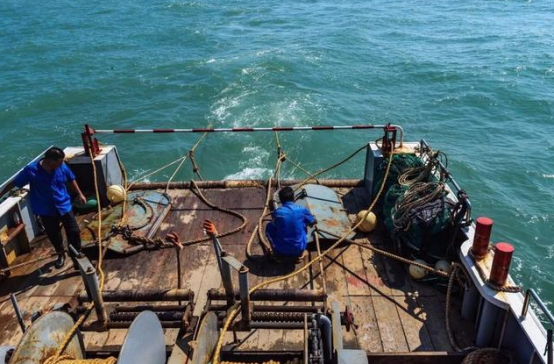 缆绳助力渔民捕鱼